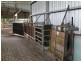 Millaa Millaa QLD 4886