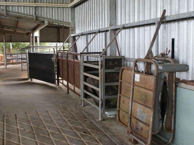 Millaa Millaa QLD 4886