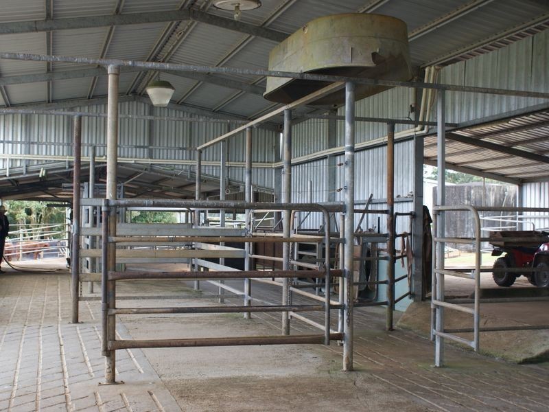 Millaa Millaa QLD 4886