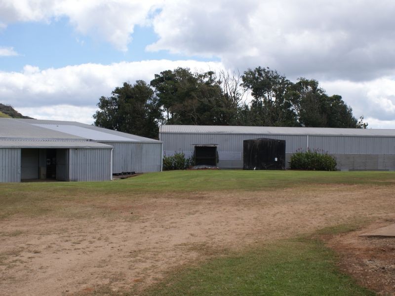 Millaa Millaa QLD 4886