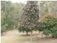 Herberton QLD 4887
