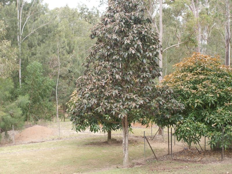 Herberton QLD 4887
