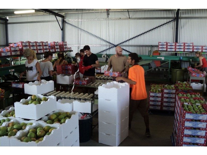 Dimbulah QLD 4872