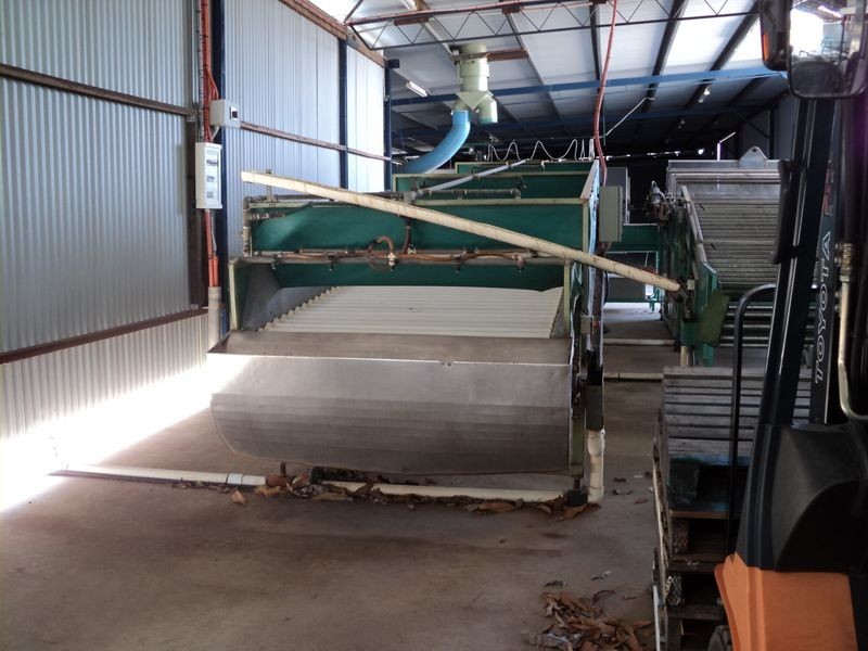 Dimbulah QLD 4872