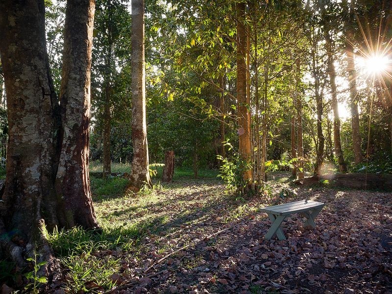 36 Lorensen Close, Malanda QLD 4885