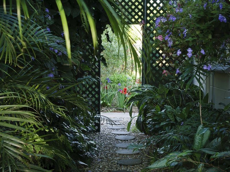 36 Lorensen Close, Malanda QLD 4885