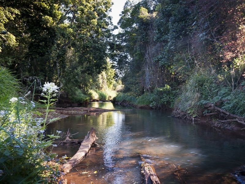 36 Lorensen Close, Malanda QLD 4885