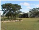 Mount Garnet QLD 4872