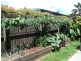 Tolga QLD 4882