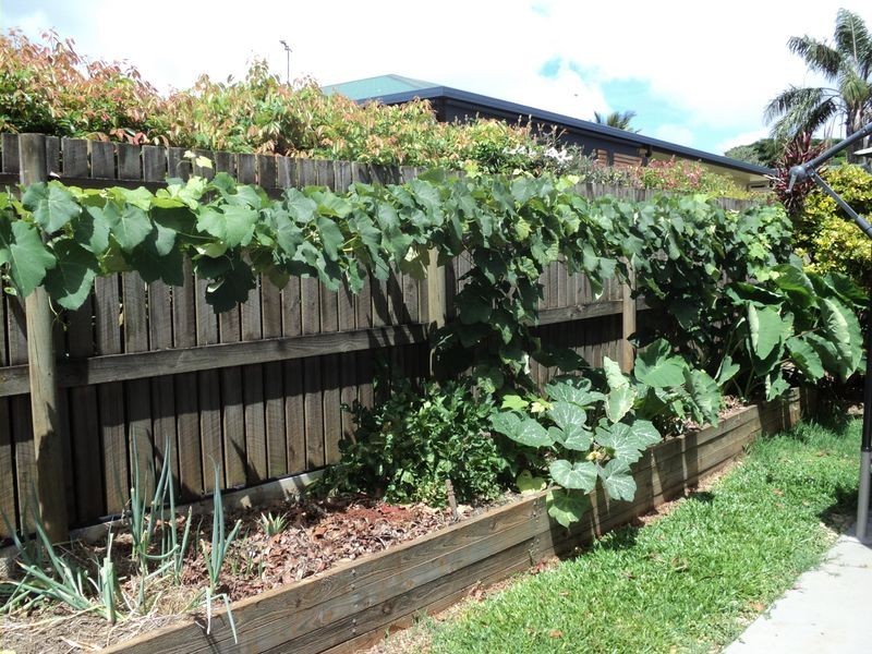 Tolga QLD 4882