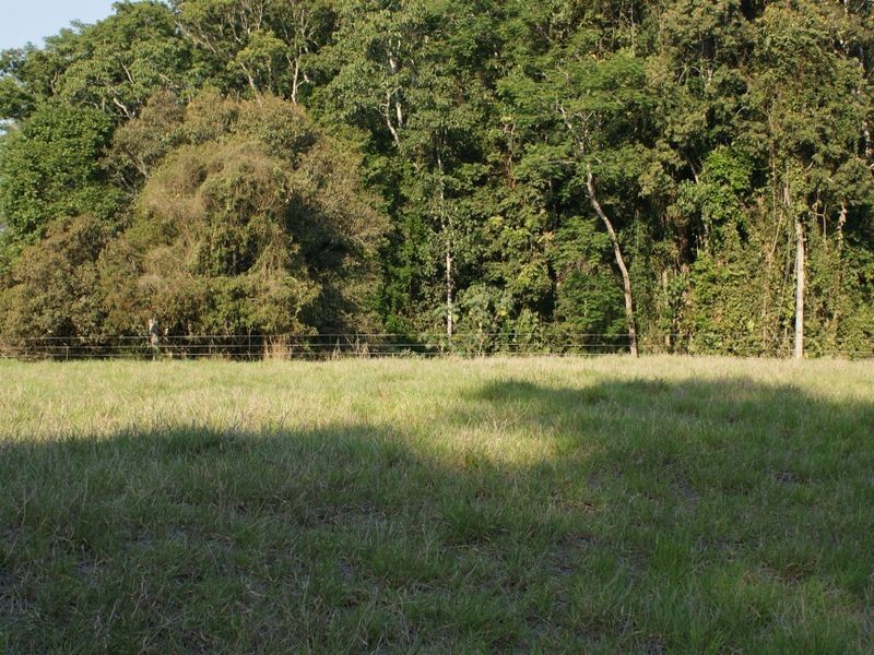 Upper Barron QLD 4883