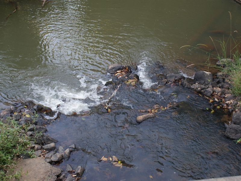 Upper Barron QLD 4883