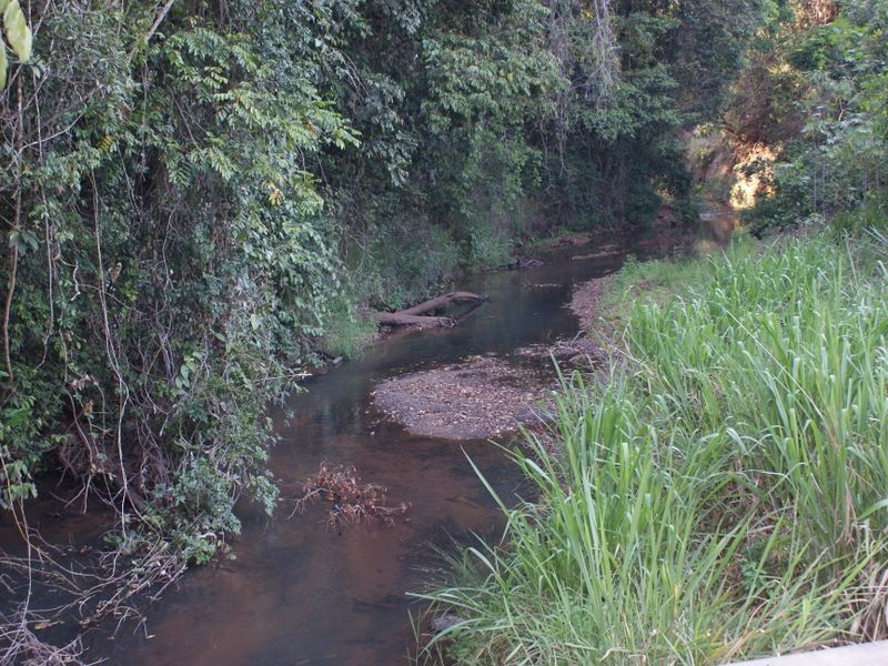 Upper Barron QLD 4883