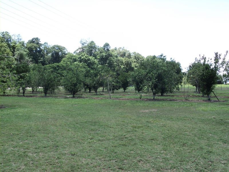 Lot 1 Kennedy Highway (The Humpy Nut World), Tolga QLD 4882