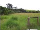 Yungaburra QLD 4884