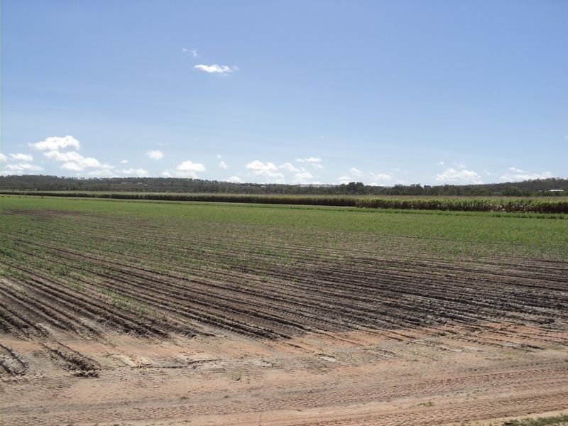 272 Kimalo Road (Option 1) Arriga via, Mareeba QLD 4880