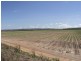 272 Kimalo Road (Option 1) Arriga via, Mareeba QLD 4880