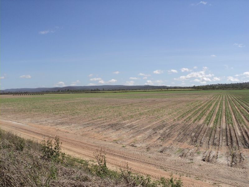 272 Kimalo Road (Option 1) Arriga via, Mareeba QLD 4880