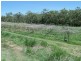 RN 132 Percy Road, Cooktown QLD 4895