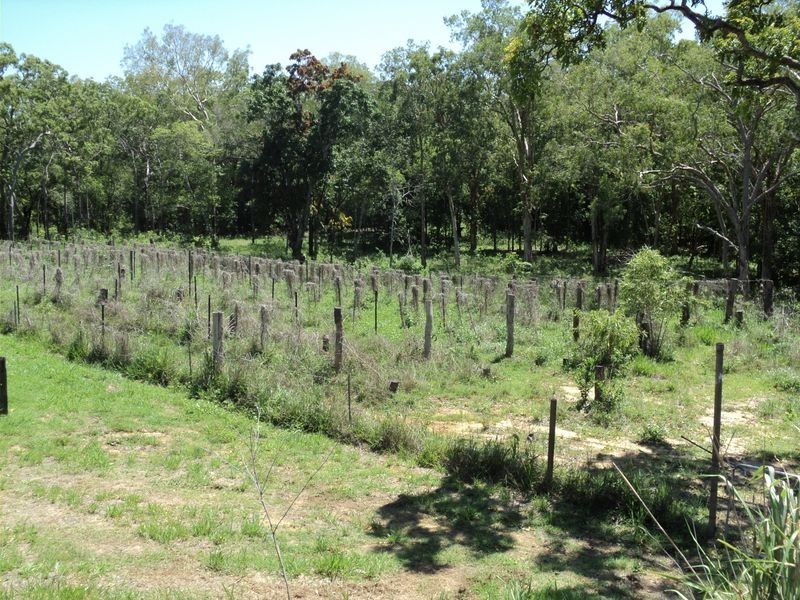 RN 132 Percy Road, Cooktown QLD 4895