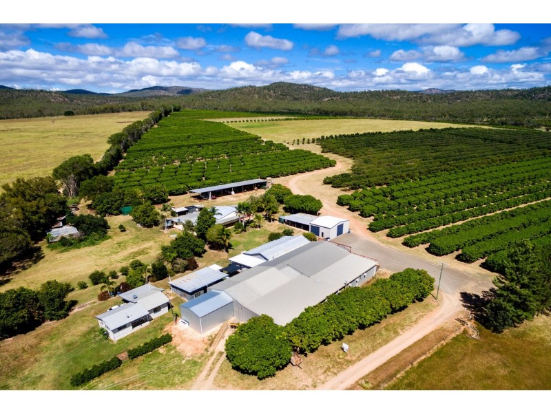 Mareeba QLD 4880