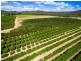 Mareeba QLD 4880
