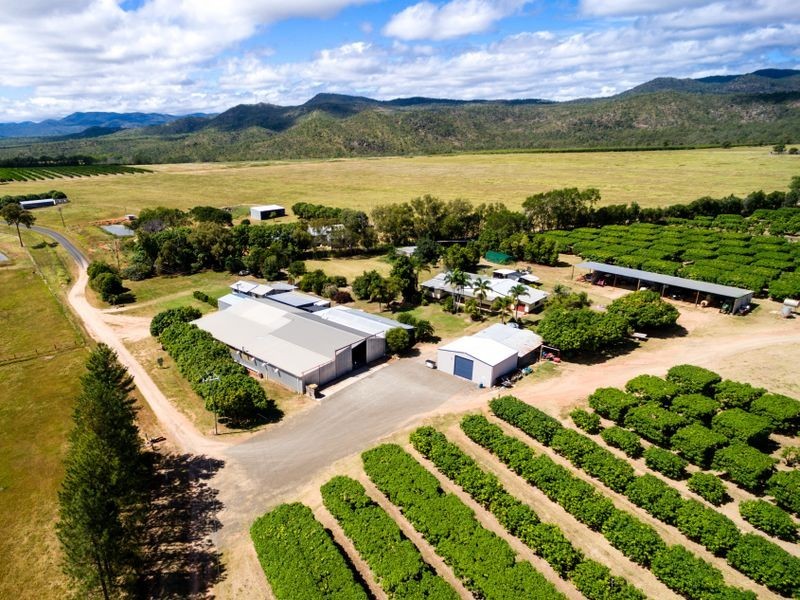Mareeba QLD 4880