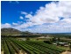 Mareeba QLD 4880