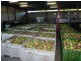 Mareeba QLD 4880