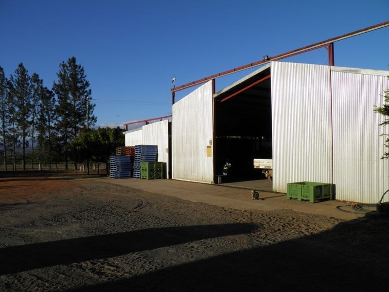 Mareeba QLD 4880