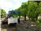 Mareeba QLD 4880