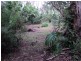 Ravenshoe QLD 4888