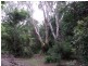 Ravenshoe QLD 4888