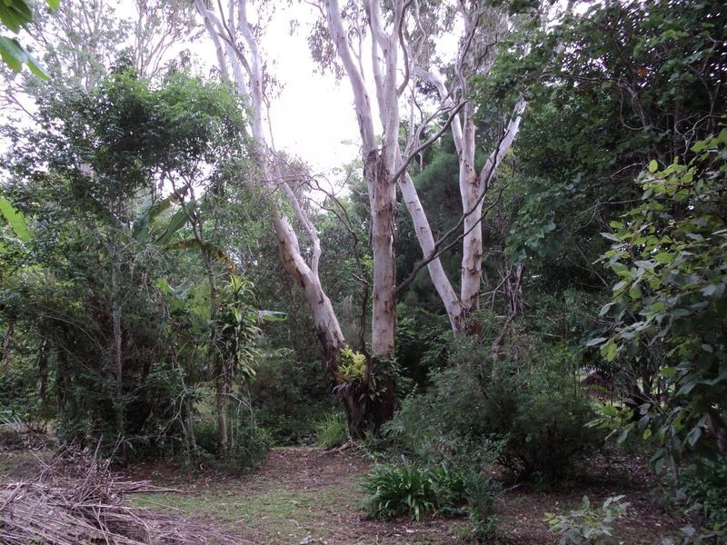 Ravenshoe QLD 4888