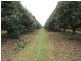 224 Mehmet Road, Tolga QLD 4882