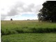 224 Mehmet Road, Tolga QLD 4882