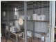 224 Mehmet Road, Tolga QLD 4882