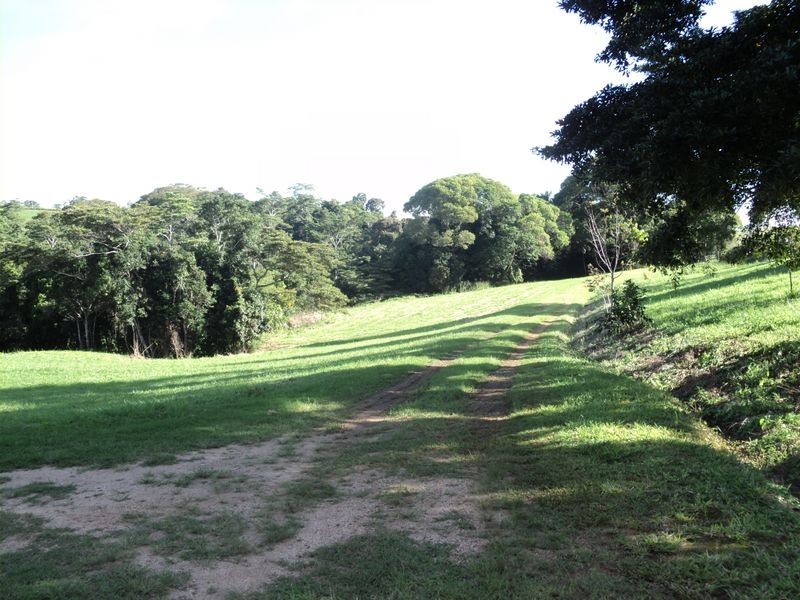 Yungaburra QLD 4884