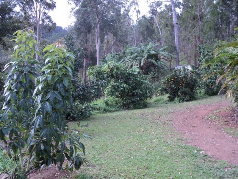 Ravenshoe QLD 4888
