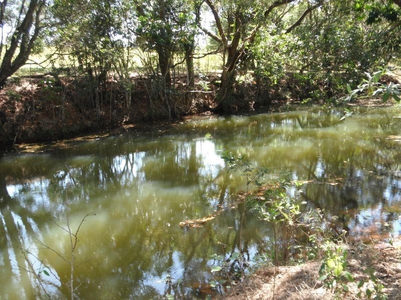 7 Imrie Close, Lake Eacham QLD 4884