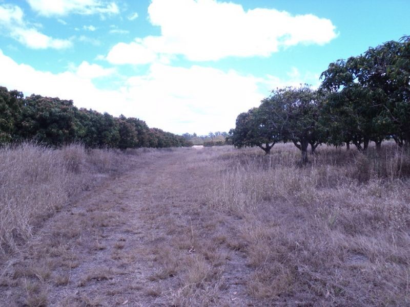 Mareeba QLD 4880