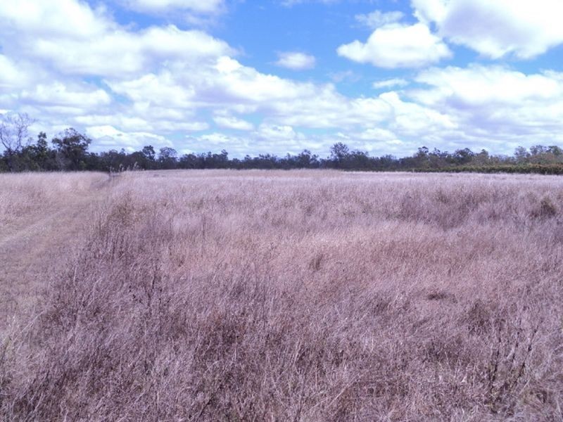 Mareeba QLD 4880