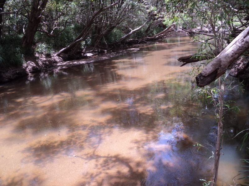 Mareeba QLD 4880