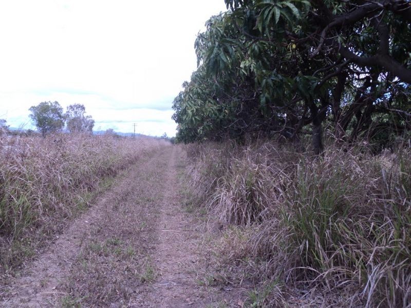 Mareeba QLD 4880