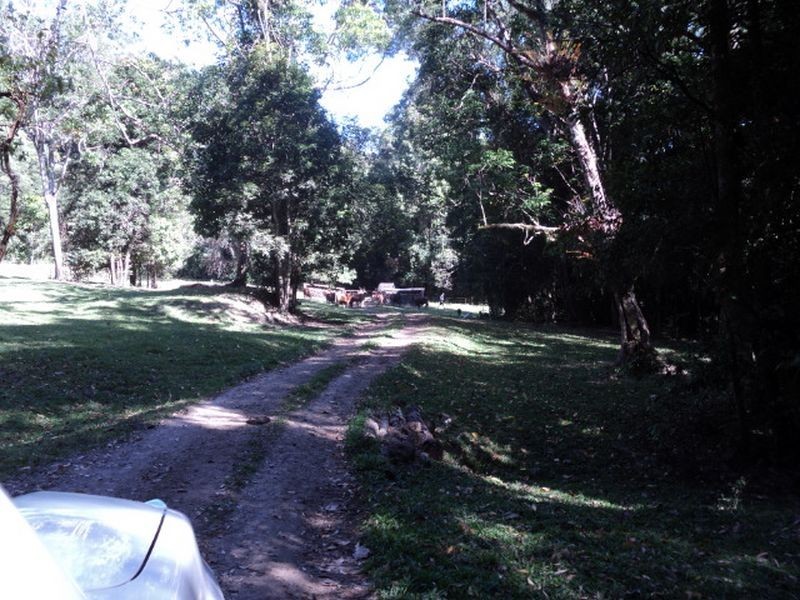 Mount Surprise QLD 4871