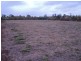 Tolga QLD 4882