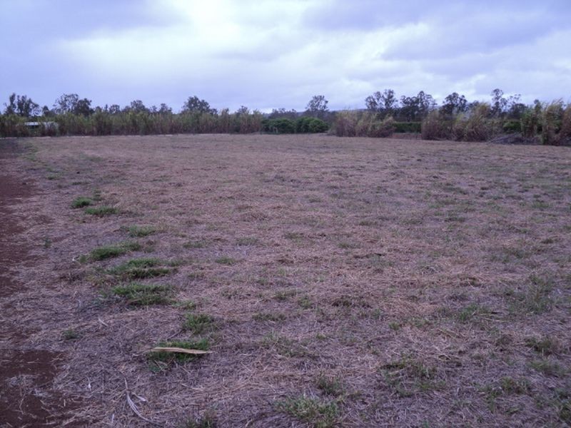Tolga QLD 4882