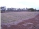 Tolga QLD 4882