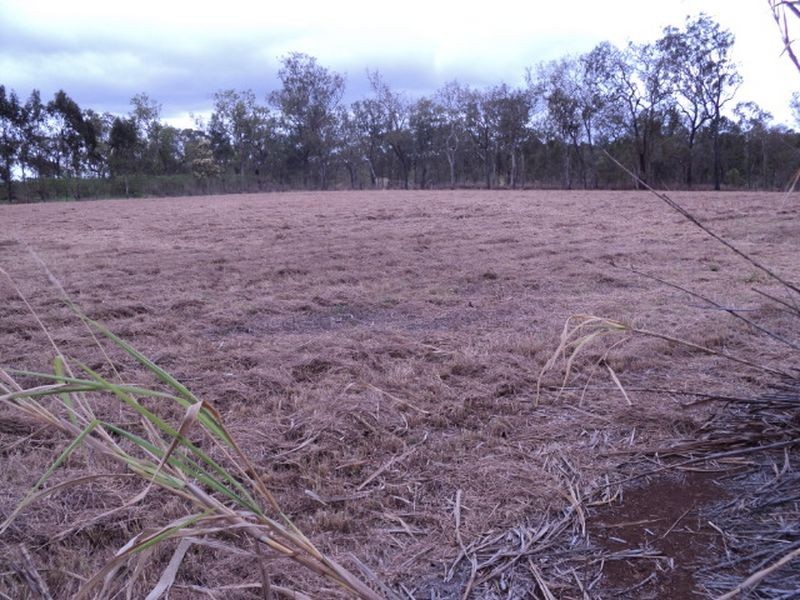 Tolga QLD 4882