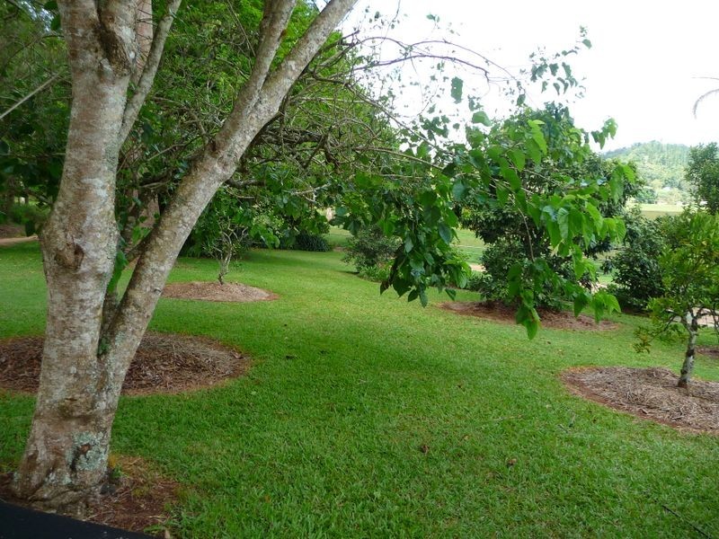 Atherton QLD 4883